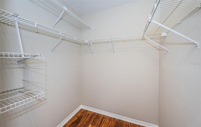 7911 Hardwick Dr Unit 414, New Port Richey, FL 34653 - photo 39