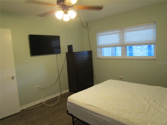5900 21st St N Unit 2, Saint Petersburg, FL 33714 - photo 16