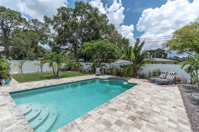 2009 Woodward Ave, Dunedin, FL 34698 - view of pool featuring a patio and a fenced backyard