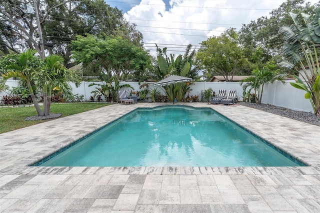 2009 Woodward Ave, Dunedin, FL 34698 - view of pool featuring a patio area and a fenced backyard