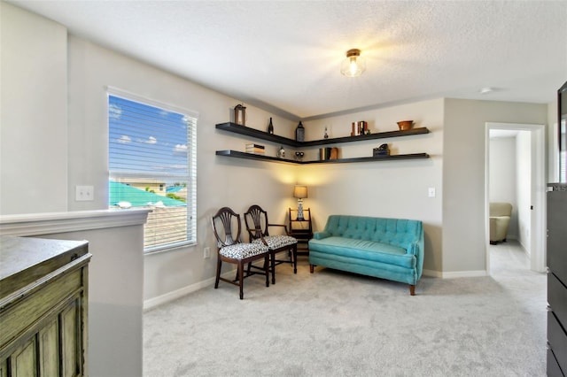 1116 Seminole Sky Dr, Ruskin, FL 33570 - photo 24