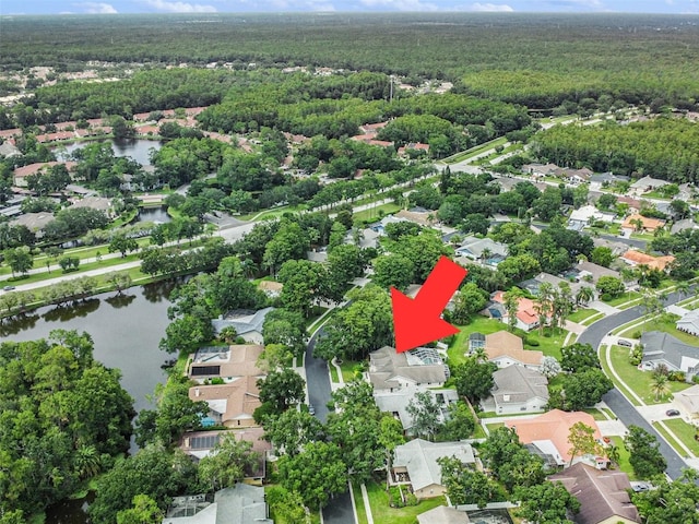 3125 Edgemoor Dr, Palm Harbor, FL 34685 - photo 33