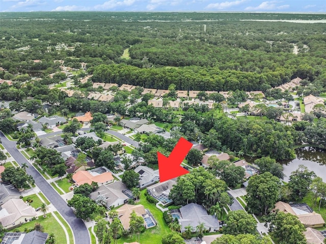3125 Edgemoor Dr, Palm Harbor, FL 34685 - photo 34