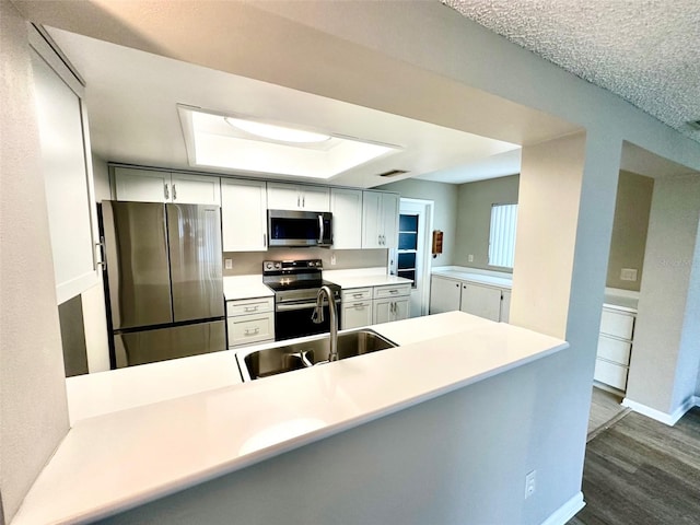9830 44th Way N, Pinellas Park, FL 33782 - kitchen with appliances with stainless steel finishes, dark wood finished floors, light countertops, a tray ceiling, and a peninsula
