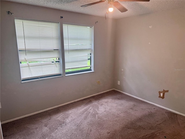 121 Loblolly Ct Unit C, Oldsmar, FL 34677 - photo 20