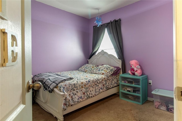 12036 Suburban Sunrise St, Riverview, FL 33578 - photo 19