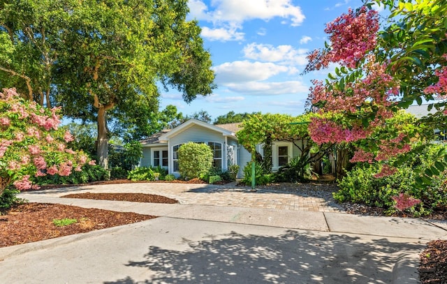 546 Orangewood Dr, Dunedin, FL 34698 - photo 23