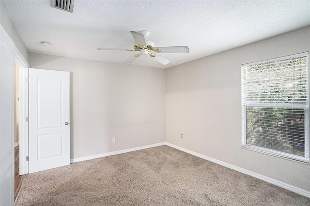 22100 Little Lagoon Ct, Lutz, FL 33549 - photo 17