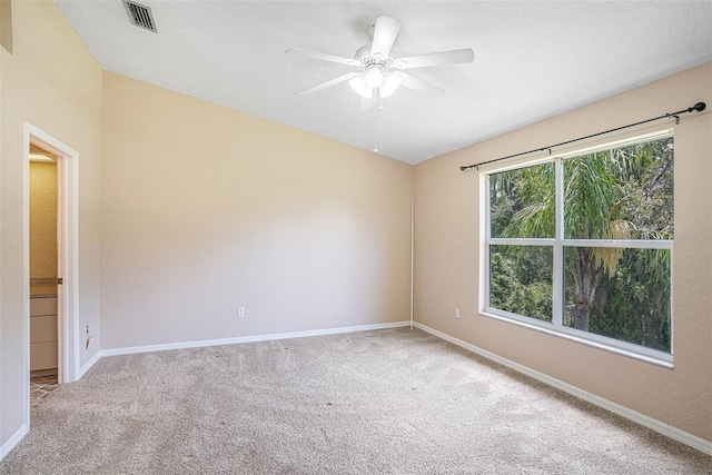 22100 Little Lagoon Ct, Lutz, FL 33549 - photo 23