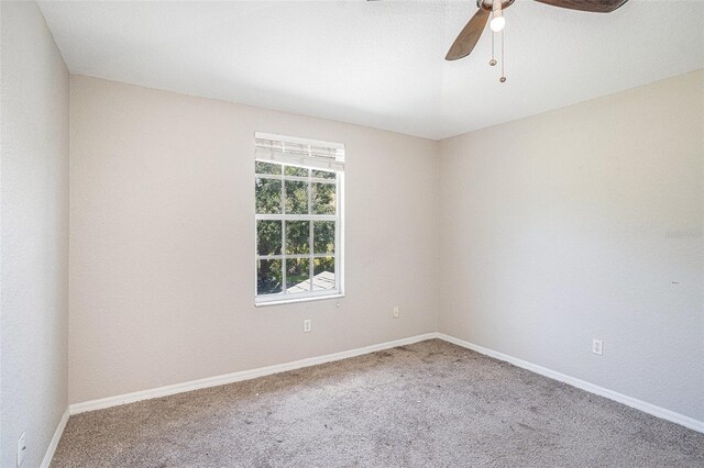 22100 Little Lagoon Ct, Lutz, FL 33549 - photo 25