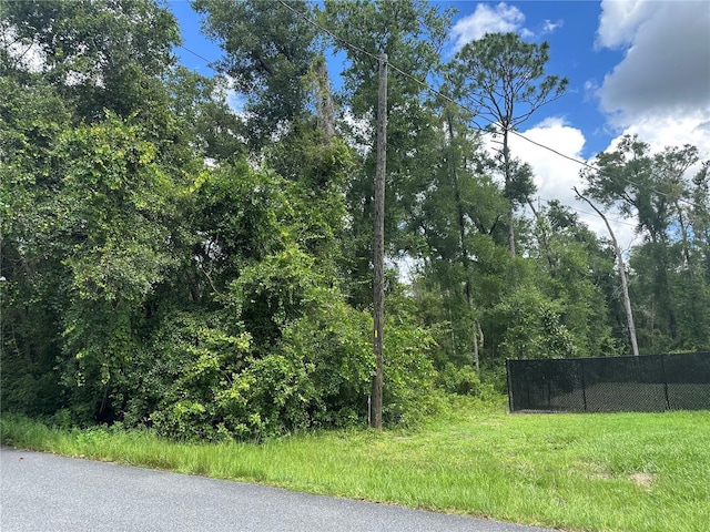 6585 E Waverly St, Inverness, FL 34452 - photo 6