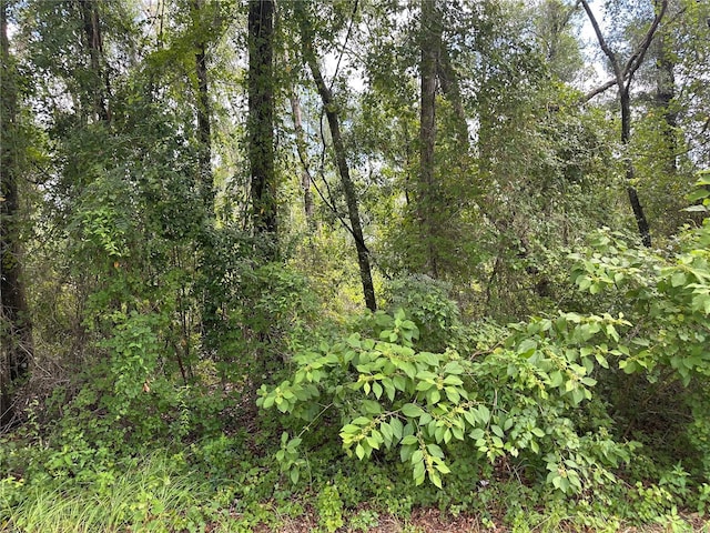 6585 E Waverly St, Inverness, FL 34452 - photo 8