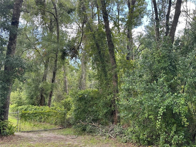 6585 E Waverly St, Inverness, FL 34452 - photo 9