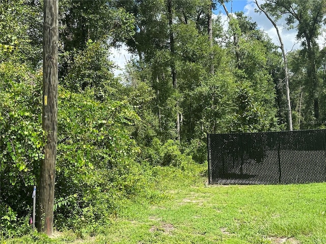 6585 E Waverly St, Inverness, FL 34452 - photo 13
