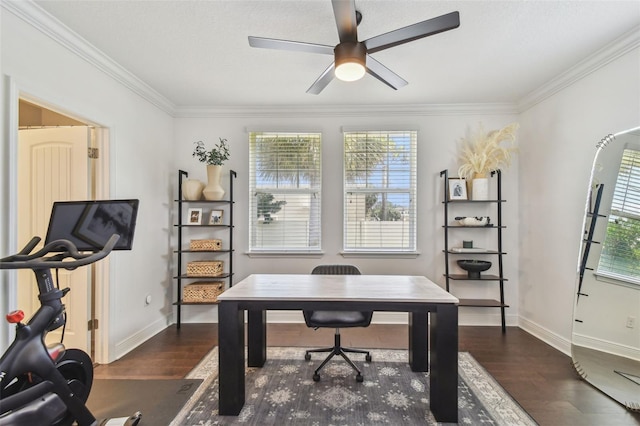 115 N Arrawana Ave Unit 1, Tampa, FL 33609 - photo 5
