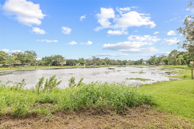 12506 Forest Hills Dr, Tampa, FL 33612 - photo 34