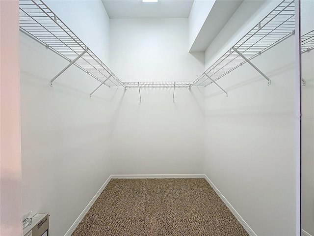 9803 Ocasta St, Riverview, FL 33569 - spacious closet featuring carpet