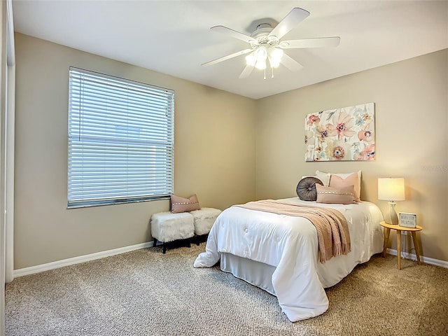 9803 Ocasta St, Riverview, FL 33569 - bedroom with carpet floors and ceiling fan