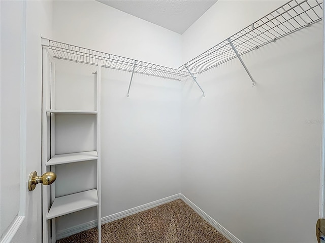 9803 Ocasta St, Riverview, FL 33569 - spacious closet featuring carpet flooring