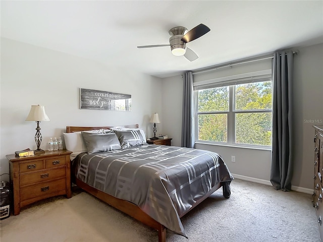 7133 Summer Holly Pl, Riverview, FL 33578 - bedroom featuring carpet floors and ceiling fan
