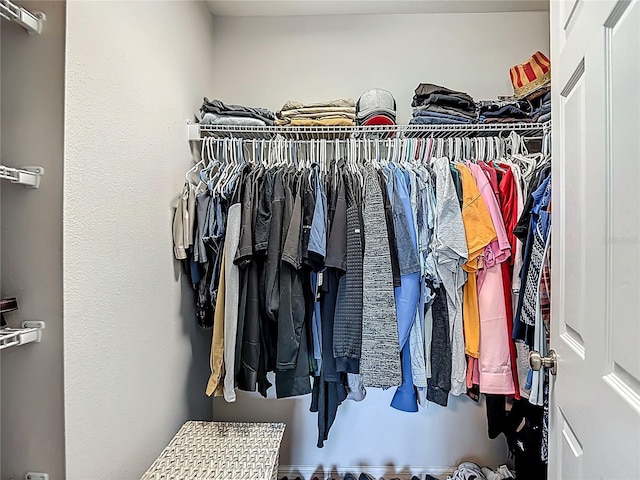 7133 Summer Holly Pl, Riverview, FL 33578 - view of spacious closet