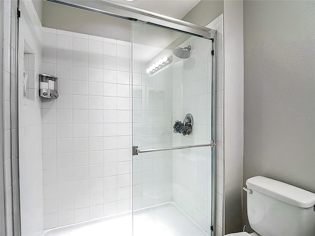 7133 Summer Holly Pl, Riverview, FL 33578 - full bath with a shower stall and a textured wall