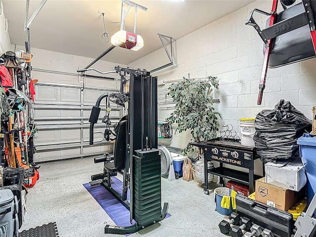 7133 Summer Holly Pl, Riverview, FL 33578 - garage featuring a garage door opener and concrete block wall