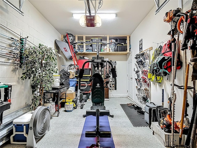 7133 Summer Holly Pl, Riverview, FL 33578 - workout room with a garage