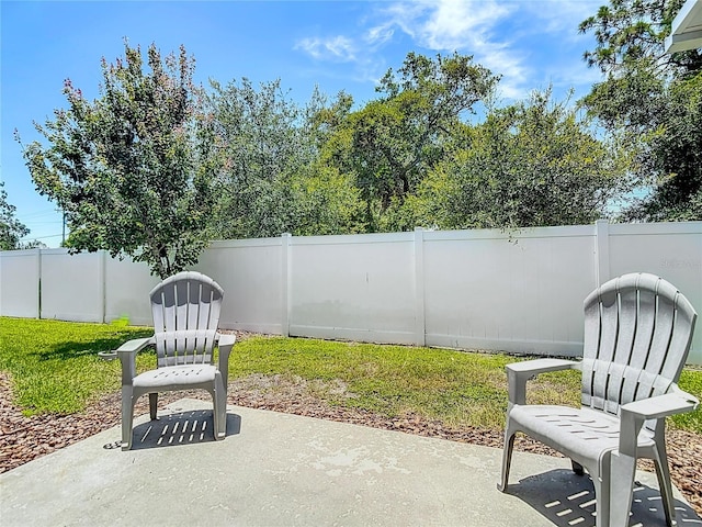 7133 Summer Holly Pl, Riverview, FL 33578 - fenced backyard with a patio area