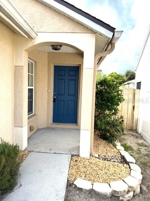 24838 Oakhaven Ct, Lutz, FL 33559 - property entrance with stucco siding