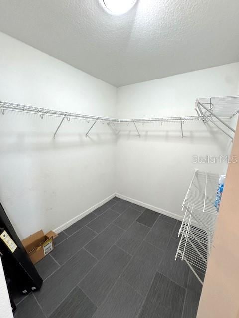 24838 Oakhaven Ct, Lutz, FL 33559 - view of walk in closet