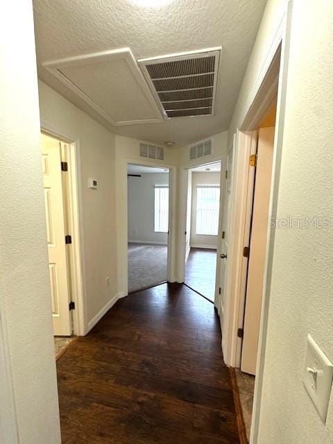 24838 Oakhaven Ct, Lutz, FL 33559 - hallway with wood finished floors, a textured ceiling, and attic access