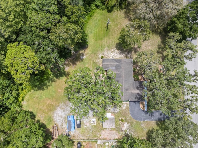 13020 Sugar Creek Blvd, Hudson, FL 34669 - photo 2