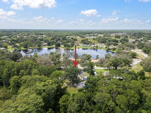 13020 Sugar Creek Blvd, Hudson, FL 34669 - photo 7