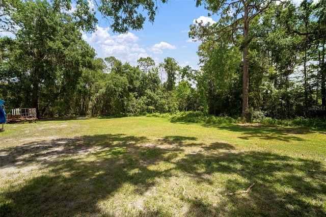 13020 Sugar Creek Blvd, Hudson, FL 34669 - photo 11