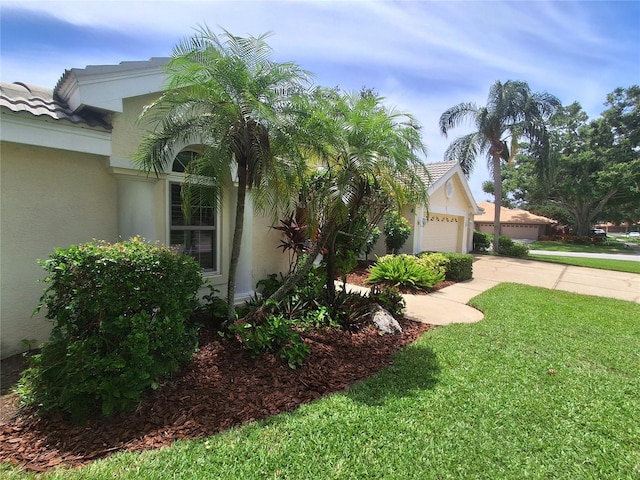 2407 Anthony Ave, Clearwater, FL 33759 - photo 54