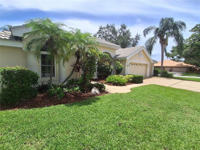 2407 Anthony Ave, Clearwater, FL 33759 - photo 4