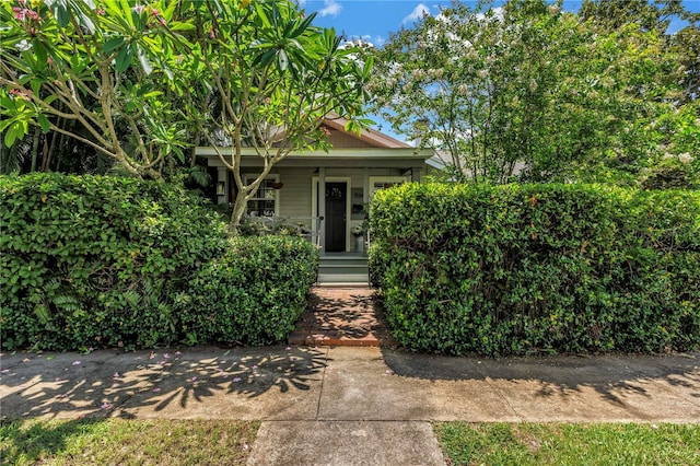 934 21st Ave N, Saint Petersburg, FL 33704 - photo 58