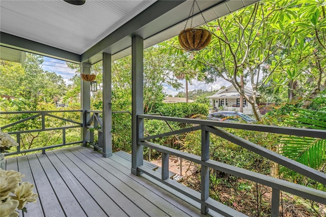 934 21st Ave N, Saint Petersburg, FL 33704 - photo 5