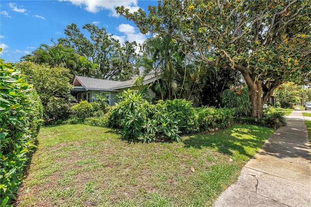934 21st Ave N, Saint Petersburg, FL 33704 - photo 52