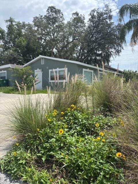 4700 Serena Dr, Tampa, FL 33617 - photo 1
