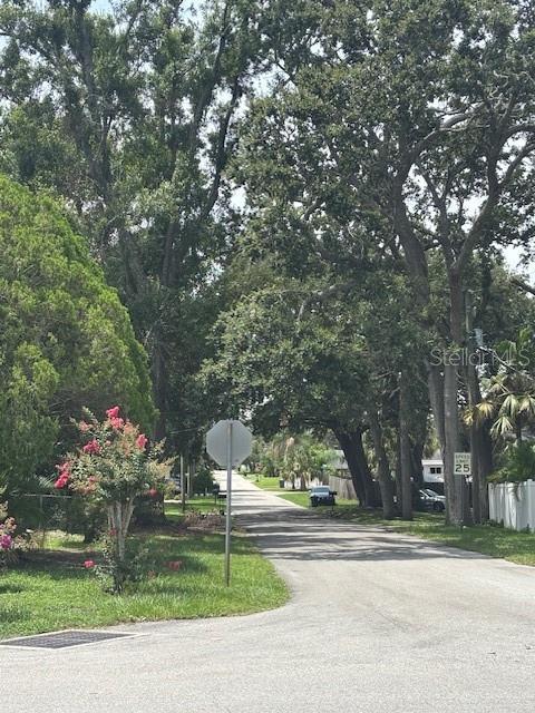 4700 Serena Dr, Tampa, FL 33617 - photo 2