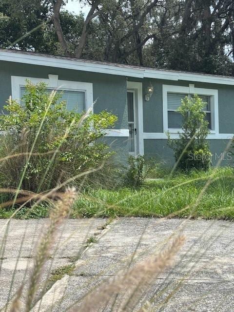 4700 Serena Dr, Tampa, FL 33617 - photo 3