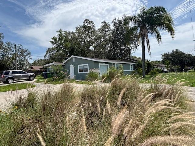 4700 Serena Dr, Tampa, FL 33617 - photo 4