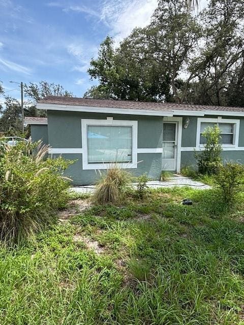 4700 Serena Dr, Tampa, FL 33617 - photo 6