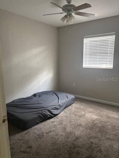 4700 Serena Dr, Tampa, FL 33617 - photo 10