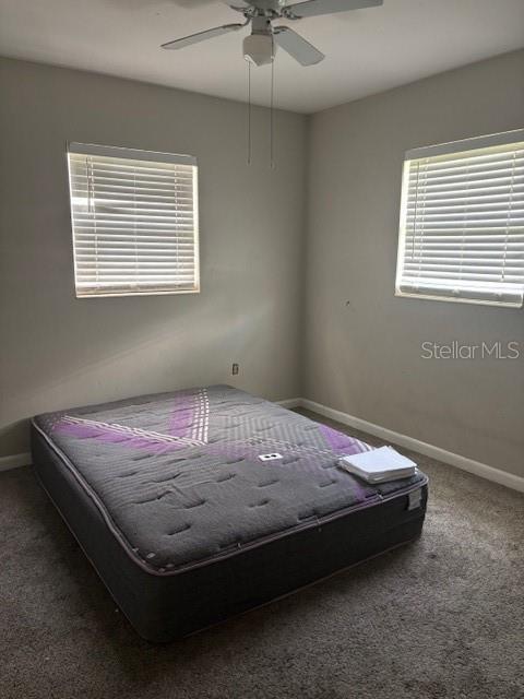 4700 Serena Dr, Tampa, FL 33617 - photo 11