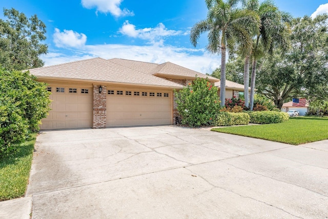 1843 Barn Owl Way, Palm Harbor, FL 34683 - photo 3