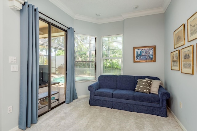 1843 Barn Owl Way, Palm Harbor, FL 34683 - photo 20