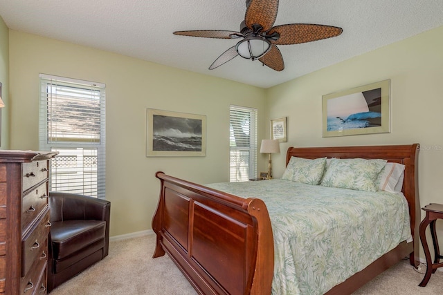 1843 Barn Owl Way, Palm Harbor, FL 34683 - photo 28